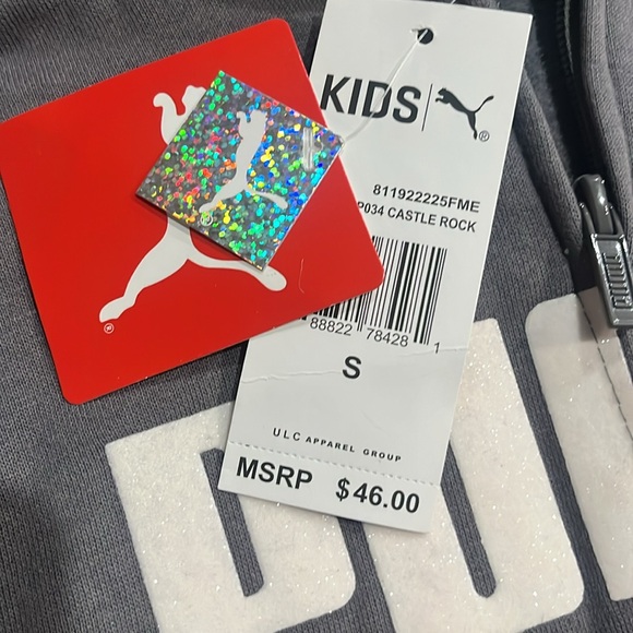 Puma Charcoal Gray Zip-Up Hoodie with Sparkly Logo, Size Small - Picture 3 of 4